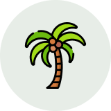 Palm Derivatives in Tradeasia